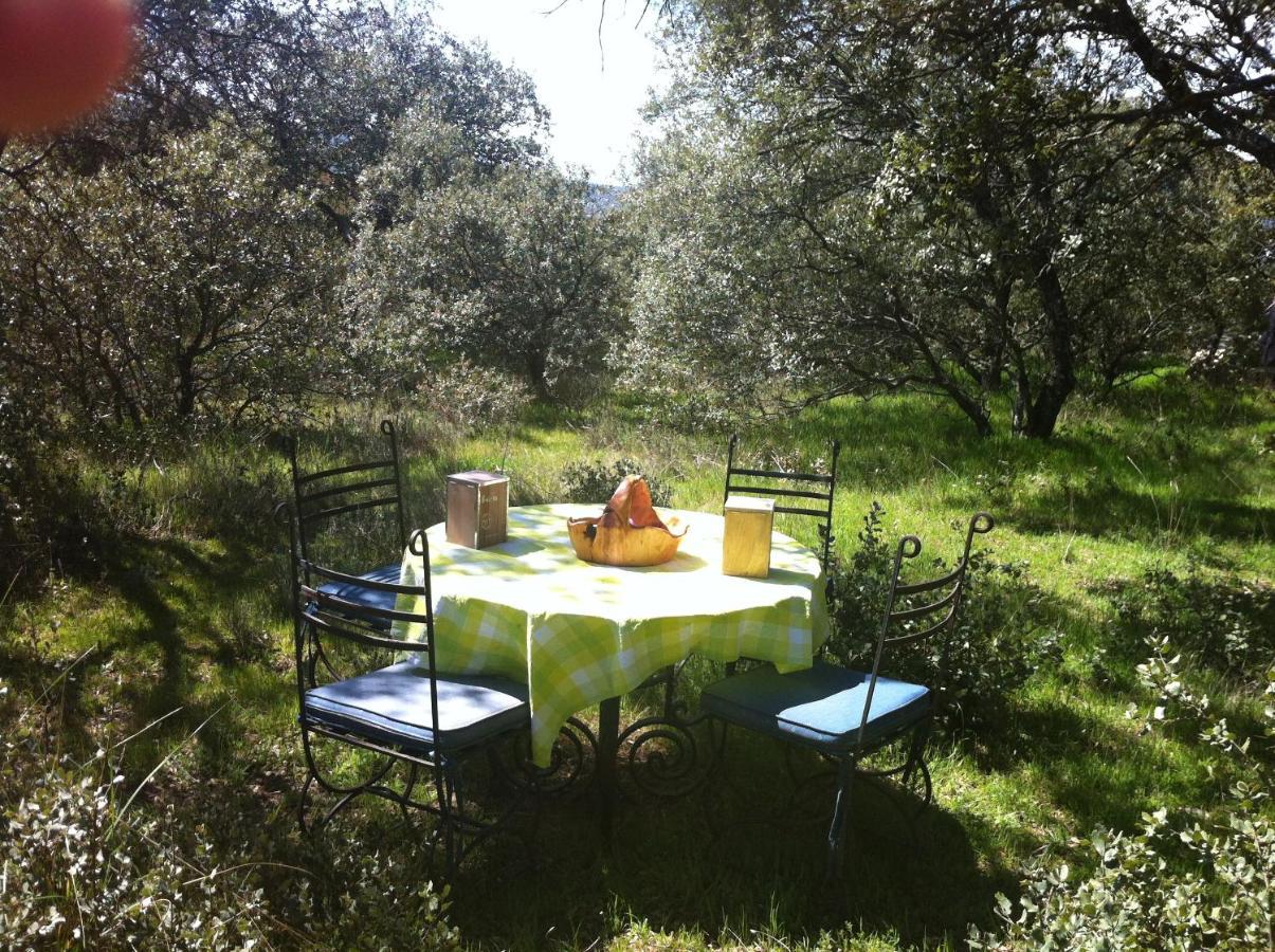 El Rincon De Tus Suenos Βίλα El Espinar Εξωτερικό φωτογραφία