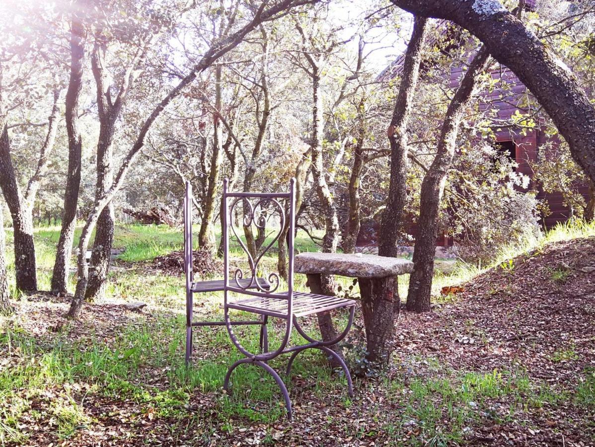 El Rincon De Tus Suenos Βίλα El Espinar Εξωτερικό φωτογραφία